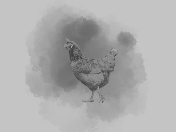 Illustration pour l'imaginaire souhaitable montrant une poule